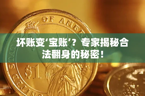 北京坏账变‘宝账’？专家揭秘合法翻身的秘密！
