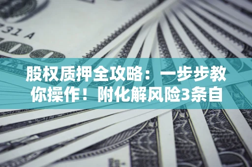 北京股权质押全攻略：一步步教你操作！附化解风险3条自救法则
