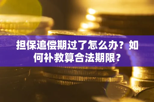 北京担保追偿期过了怎么办？如何补救算合法期限？