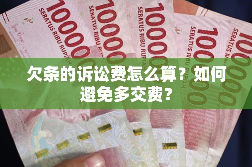 北京欠条的诉讼费怎么算？如何避免多交费？