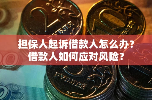 北京担保人起诉借款人怎么办？借款人如何应对风险？