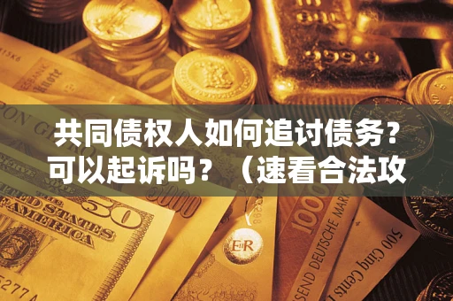 北京共同债权人如何追讨债务？可以起诉吗？（速看合法攻略）
